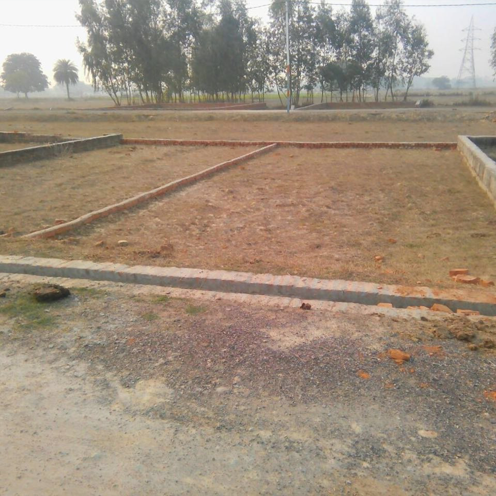 Plots
