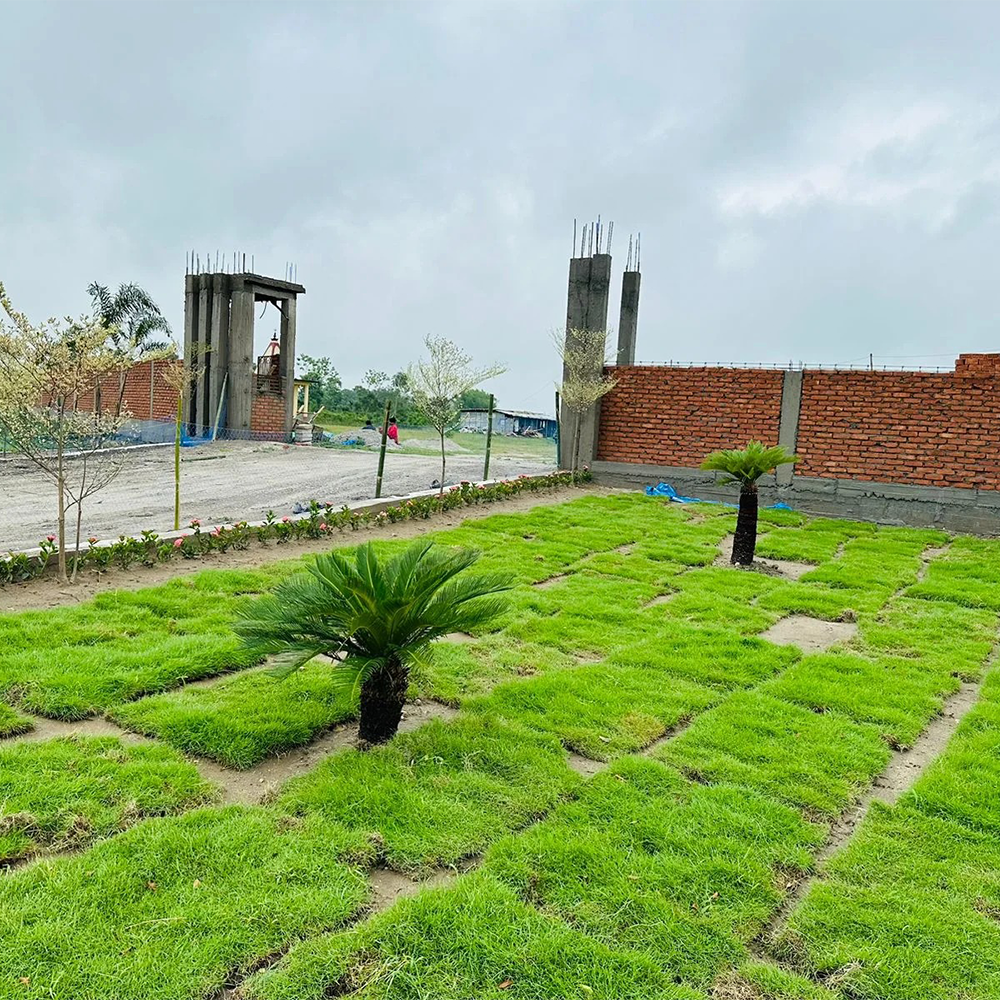 Residential Plots
