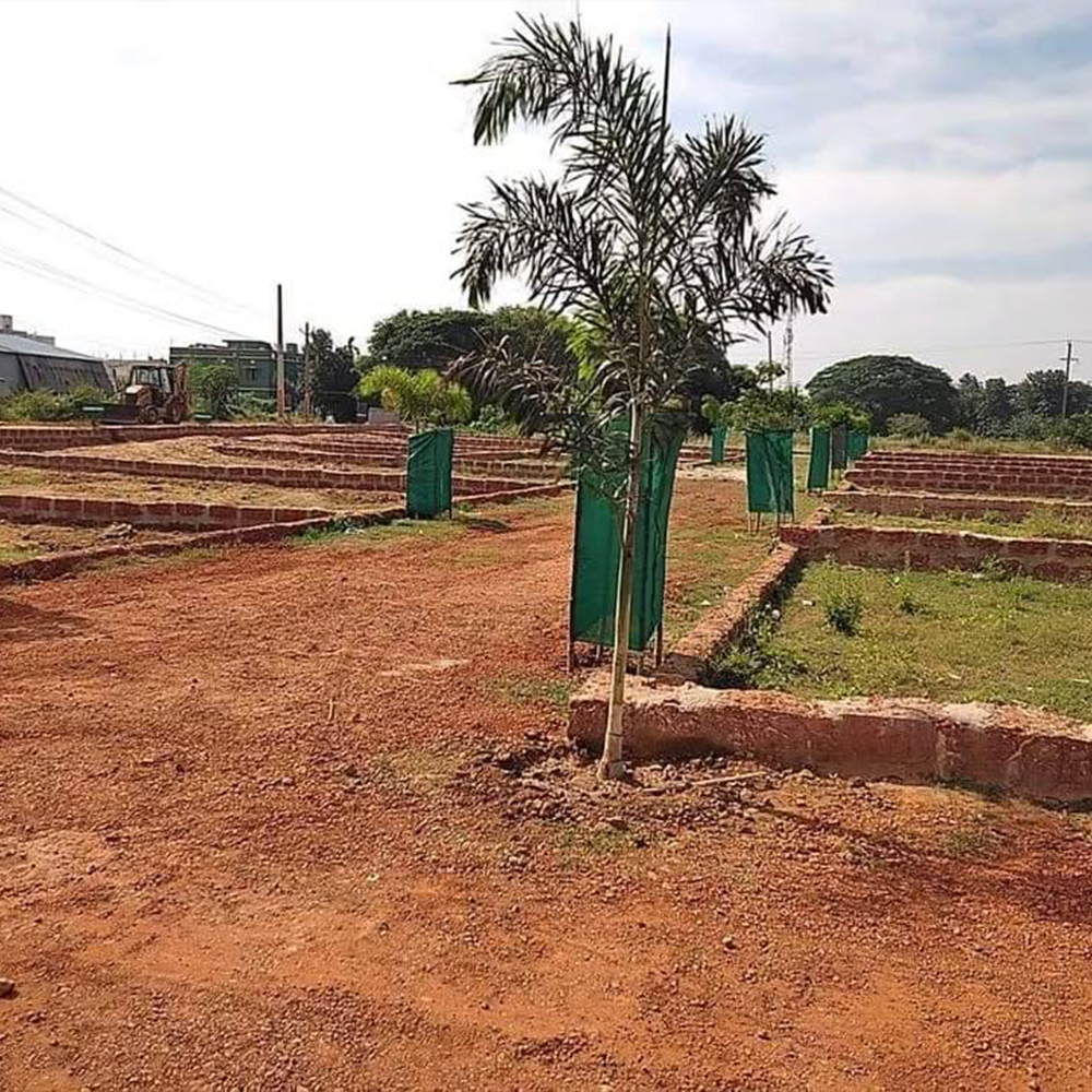 Completion Plots