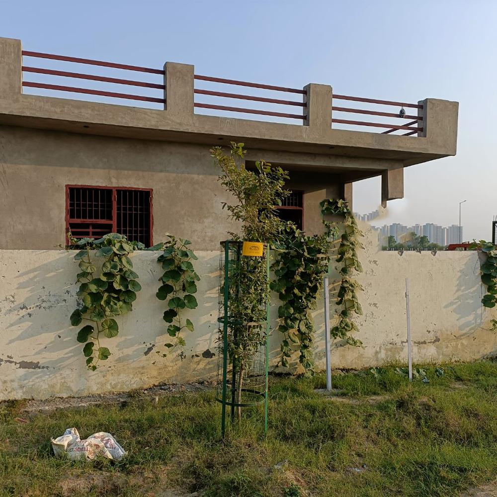 Complete House